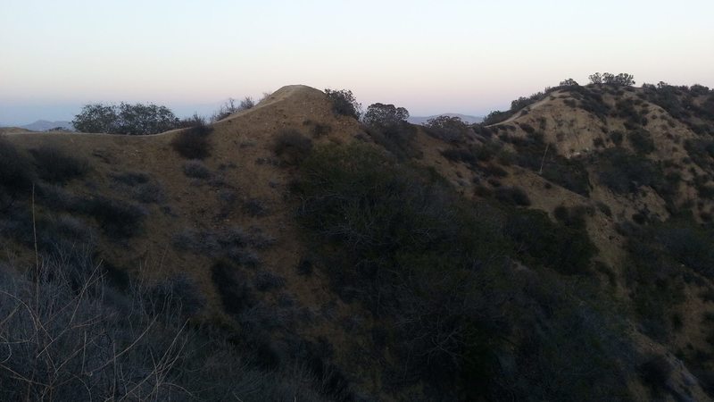 On Skyline looking at one of the singletracks along this razorback.  Looking northeast.