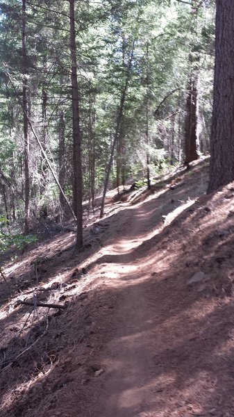 Crew Trail
