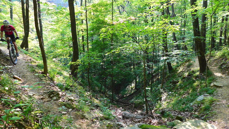 Bobcat Mountain Bike Trail, Nashville, Indiana