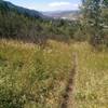 Pretty meadows with aspens line this peaceful trail