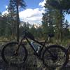 Views from the Colorado Trail