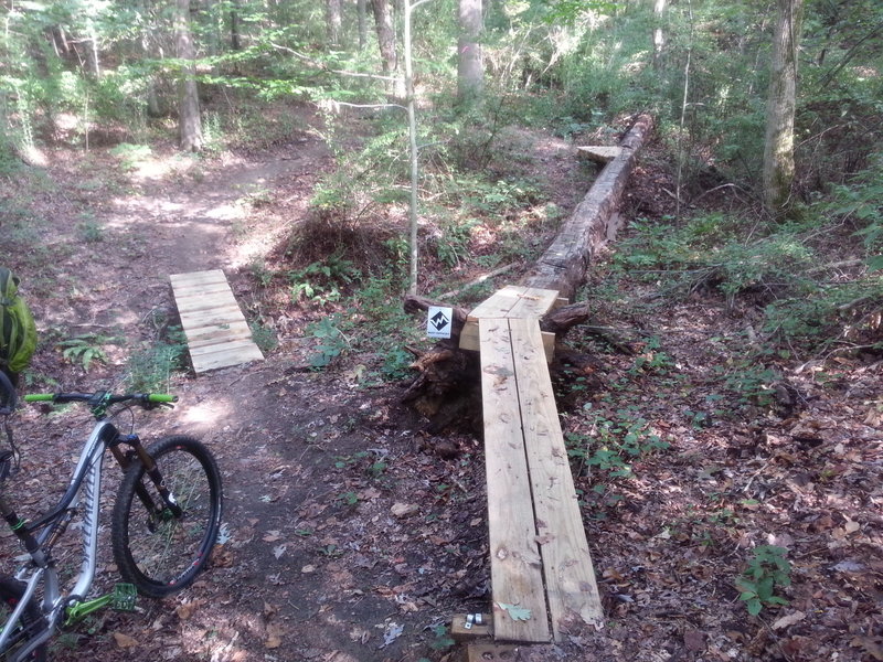 Optional log skinny.  The best TTF of Rocky Branch.