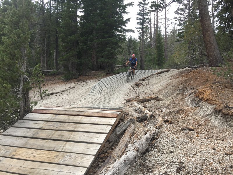 About to launch off a built feature on White Bark.