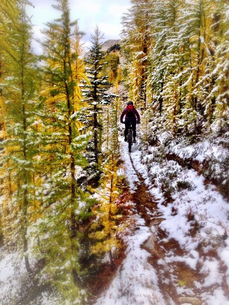 Fresh snow on the Angles Trail in mid-September. Photo: ©Donni Reddington