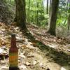 Green trail IPA on the Green trail!  Nice bench cut too.