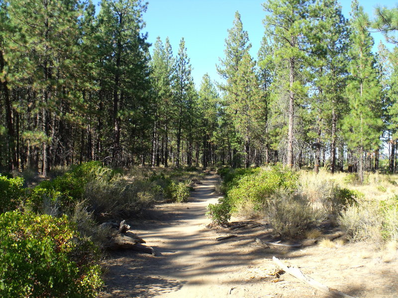 C.O.D. access trail