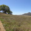 A good spot to rest/eat/regroup at the tree.