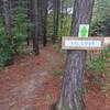 Nice short trail for first timers and kids.