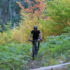 We had to take a break on the amazing downhill to take in all the glorious fall colors.