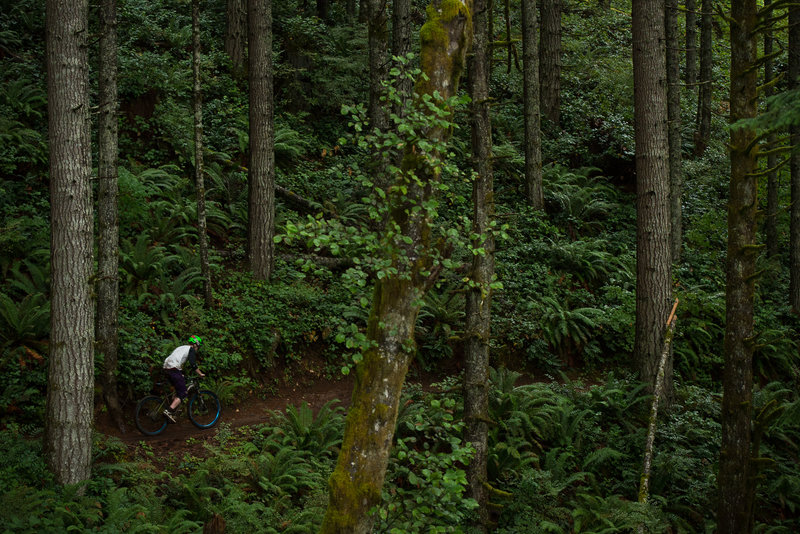 South Divide Trail