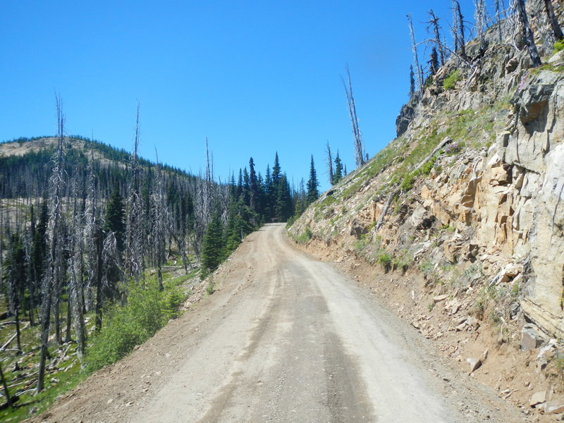 The long climb toward Harts Pass. Don't let the bark beetle infestation deathscape bother you. A Forest Service employee in Colorado told me it's natural and the regrowth there is underway, which I saw for myself.