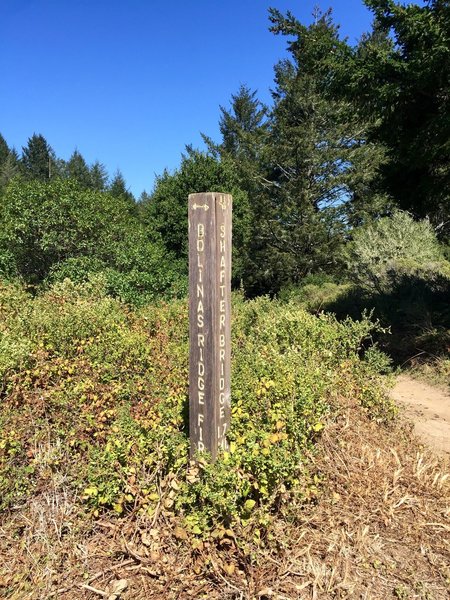 The top of the very difficult Shafter climb.