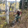 Topping out after the steep climb from Van Horn Park on the Hobbit Trail!