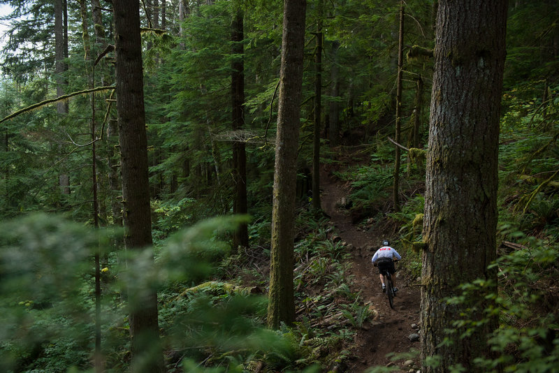 Inside Passage