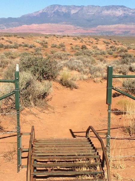 Cattle guard crossing with Pine Valley Mtns in the background.