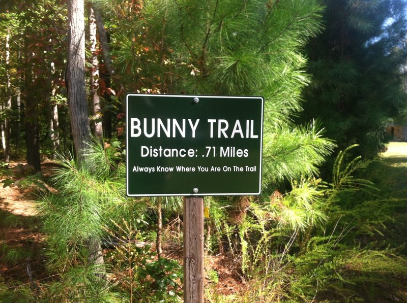 Bunny Trail Mountain Bike Trail, Williamsburg, Virginia