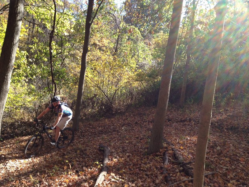 white mountain bike trails