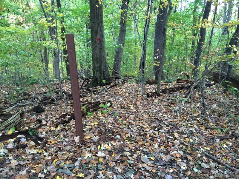 Downhill Trail Entrance: Brown Stake with Two Black Diamonds Scratched into it denotes the beginning of the trail. Trail goes just to the right of the large tree with the red paint mark.