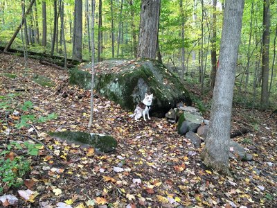 Mountain Bike Trails near Moraine State Park