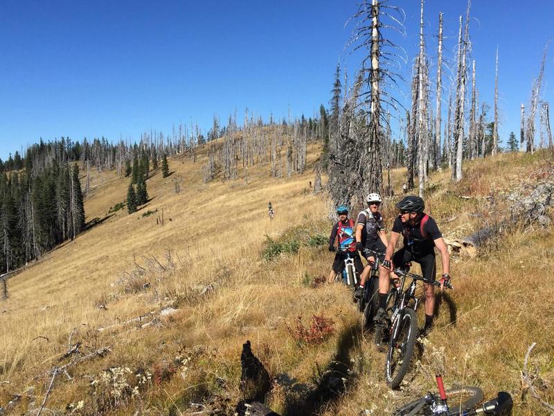 Chucksney Mountain Trail #3306