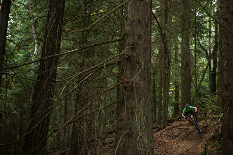 Richard Handschin rides a clean line over this off camber turn on the Upper Ridge Trail.