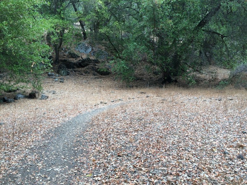 Start of uphill switchbacks