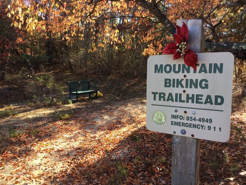 Manorville Hills Mountain Bike Trail, Manorville, New York