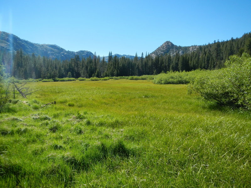 Bryan Meadow Trail (17E13)