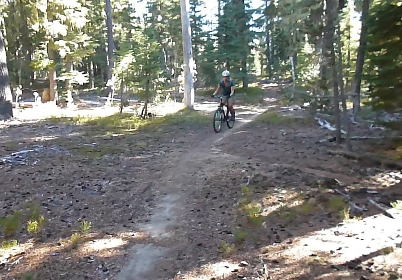 Oregon Timber Trail (OTT): Segment 4 - Kalapooya Country