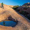 Accidental reflection in the puddle at sunset on Slickrock in Moab, UT.