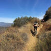 Climbing up, about a mile north of Mystic Cyn.