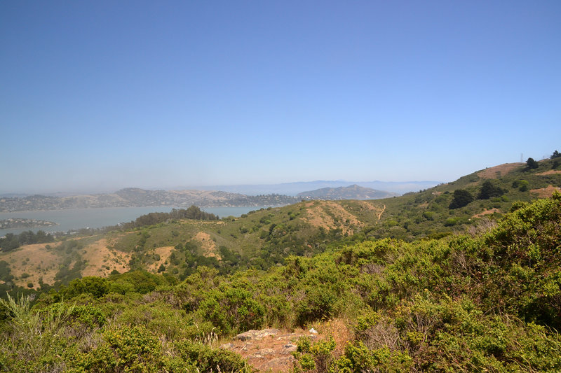 The hills along the Marincello Trail.