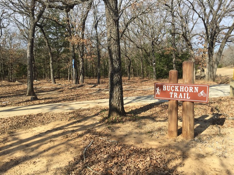 Lake Murray Hiking Trails The Trailhead Of The Buckthorn Trail, Just South Of The Chapel At Lake  Murray State Park.