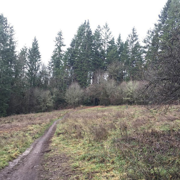 South Ridge Loop