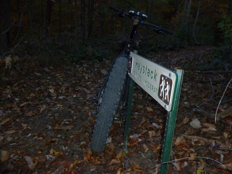 Night biking is popular at Mountwood Park.