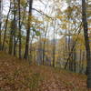 More autumn color on Warrior Ridge Trail.