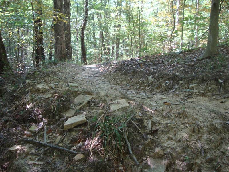 Single Track Build Hand-built singletrack.