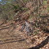 Look for the trail - take a sharp right upwards and backwards just ahead of bike.