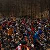 Start of the "Challenge At Mountwood" West Virginia Mountain Bike Association points series race.