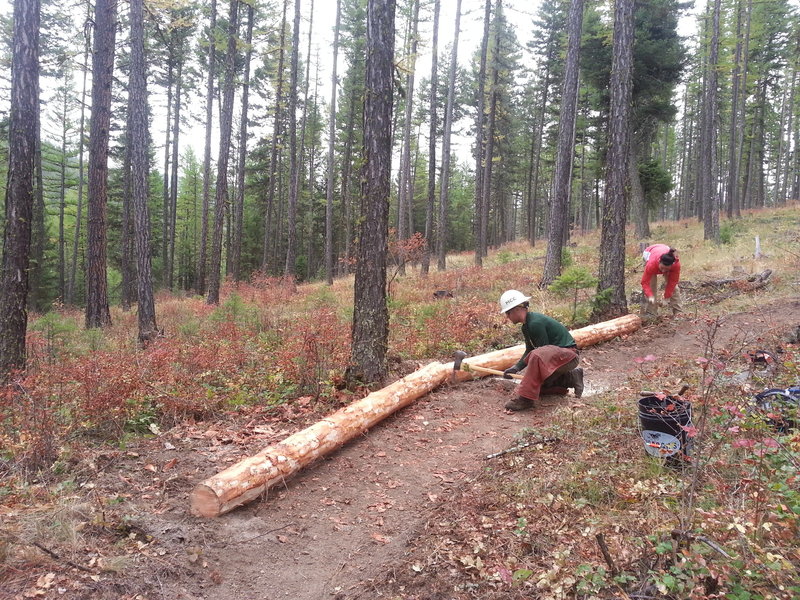 Volunteers creating a banked turn on the new Fenceline Trail.