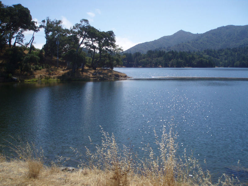Marin Three Lakes Loop