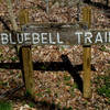 Bluebell Trail sign.