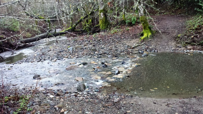 Monte Bello-Stevens Creek Loop