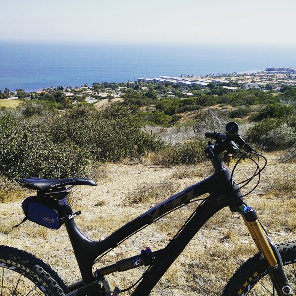 Zote's Cutacross Trail