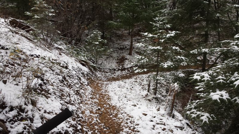 MERA Loop Trail #724