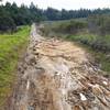 Worst of Wilder Ranch - old rutted ranch road.