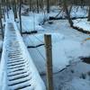 Bridge on the Beaver Damn Trail in Poland Municipal Forest.
