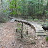 The Sallie Log is one of many features on the Twisted Sister Trail.
