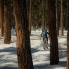 Part of a winter groomed fat-biking loop, Park Ave. is not just your summer attraction.