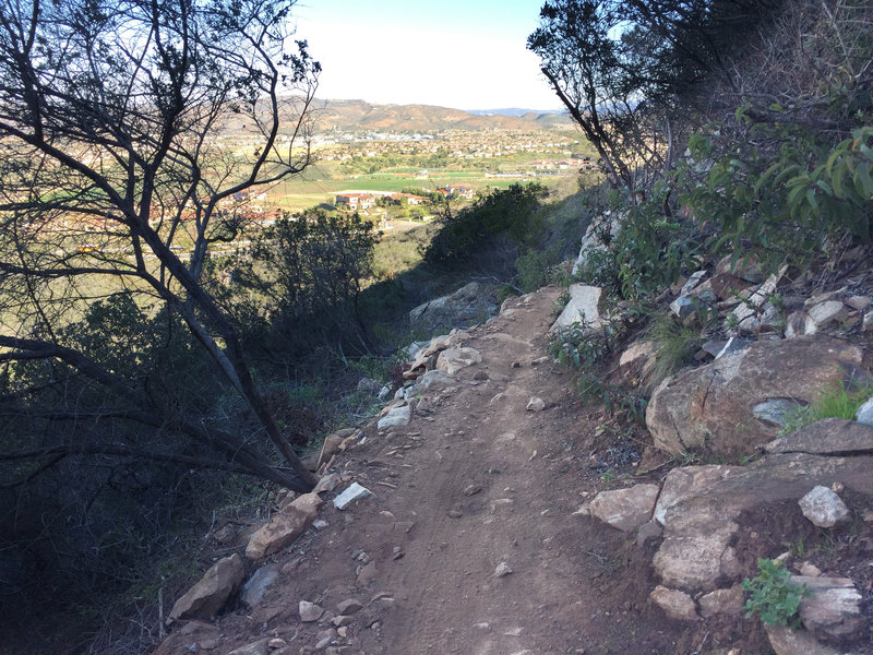 Lilac Miners Peak Loop overlooking out to 4s Ranch.  Narrow trail, but the lower half is so much fun!